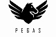 Alpinebike Pegas 3-24 Grey