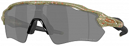 Очки Oakley Radar EV Path Matt Fern Terrazzo/Prizm Black Polarized
