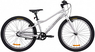 Alpinebike Pegas 3-24 Grey
