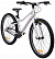 Alpinebike Pegas 3-24 Grey